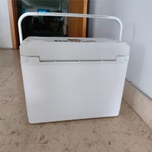 Custom Music Cooler Box – 15L/20L/28L Insulated Ice Bucket with Bluetooth Speaker
