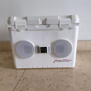 Custom Music Cooler Box – 15L/20L/28L Insulated Ice Bucket with Bluetooth Speaker
