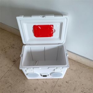 Custom Music Cooler Box – 15L/20L/28L Insulated Ice Bucket with Bluetooth Speaker