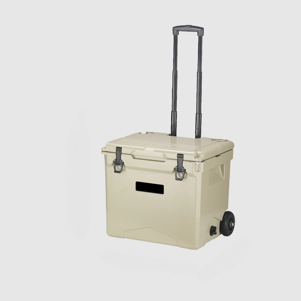 cooler box(2)
